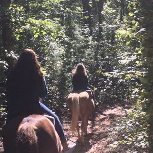 Meet your Posher, Callie